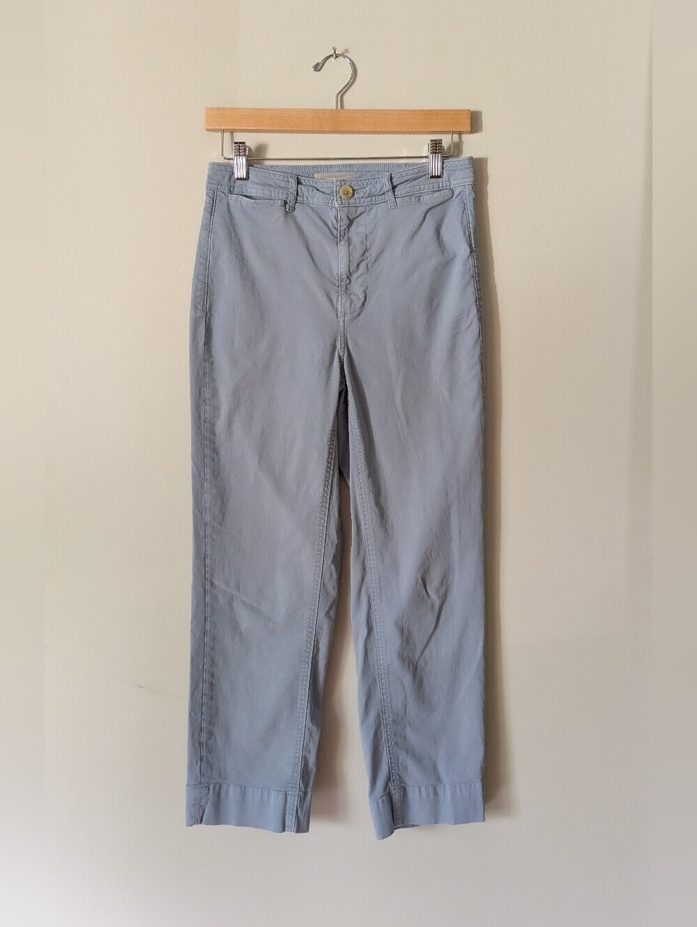 Everlane Blue Chino Pants